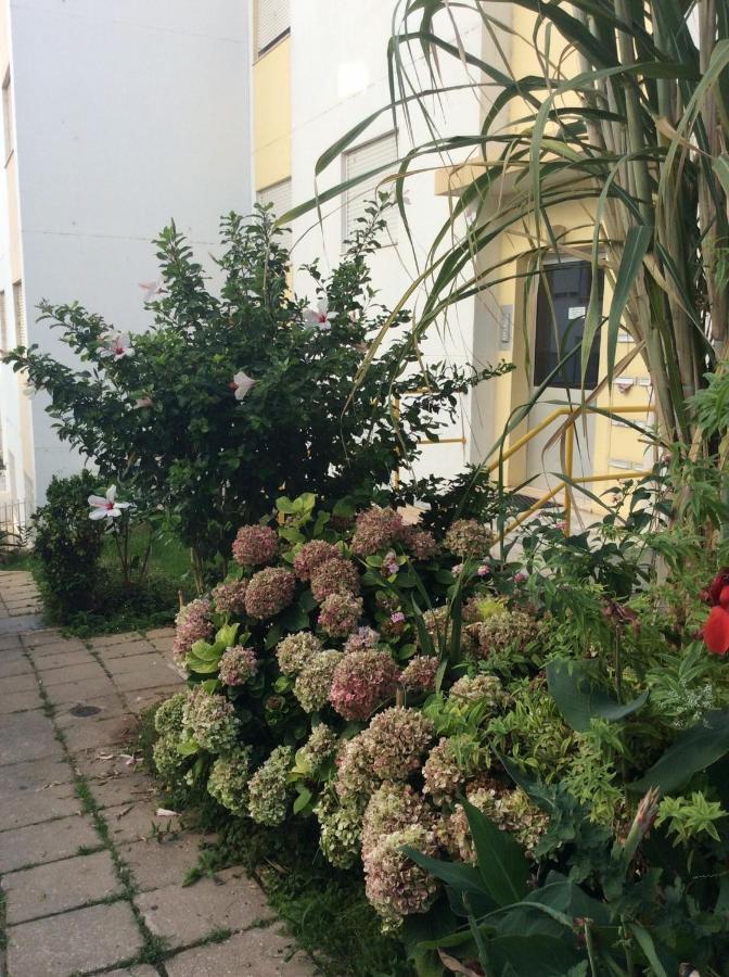 Jardim Das Flores Faro Exterior photo